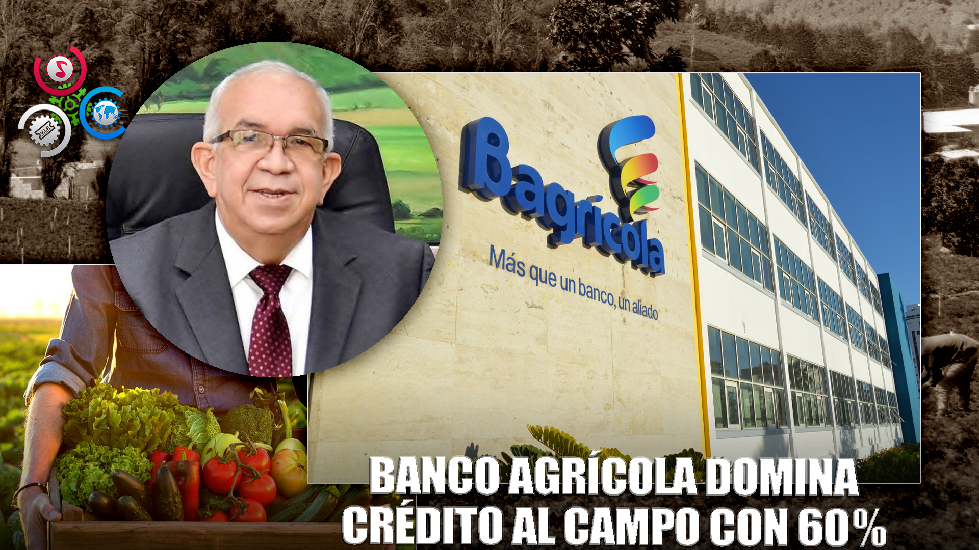 Banco Agrícola Concentra Más Del 60 % De Los Créditos Agropecuarios